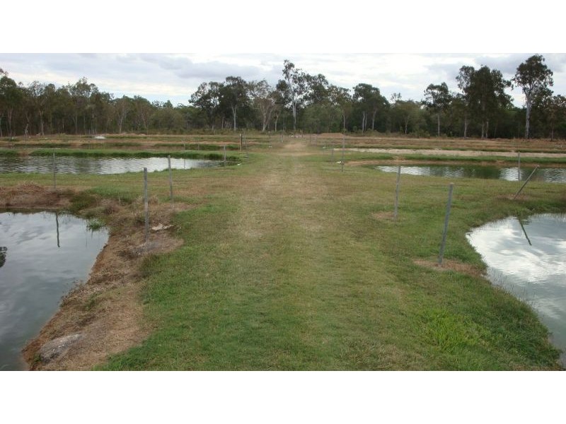 Mount Molloy QLD 4871