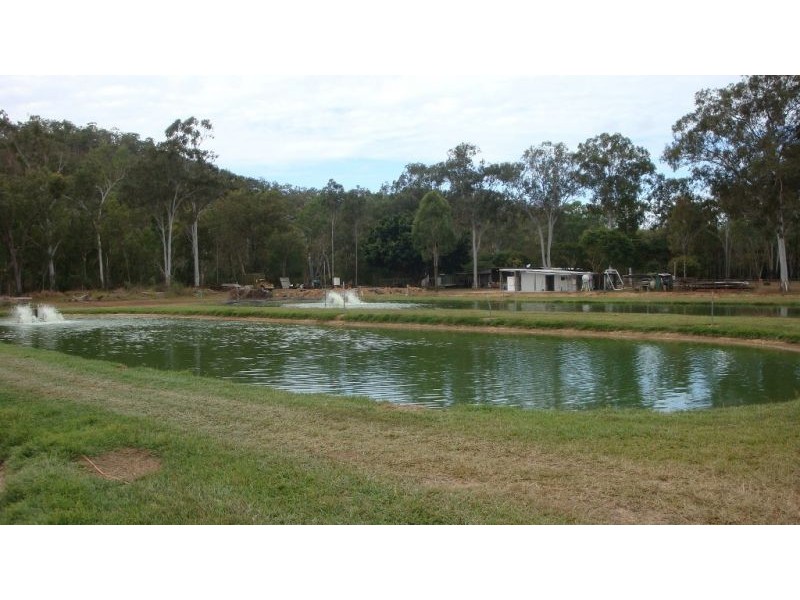 Mount Molloy QLD 4871