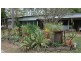 Mount Molloy QLD 4871