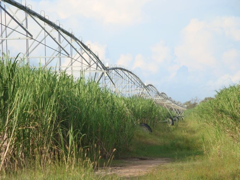 Mareeba QLD 4880
