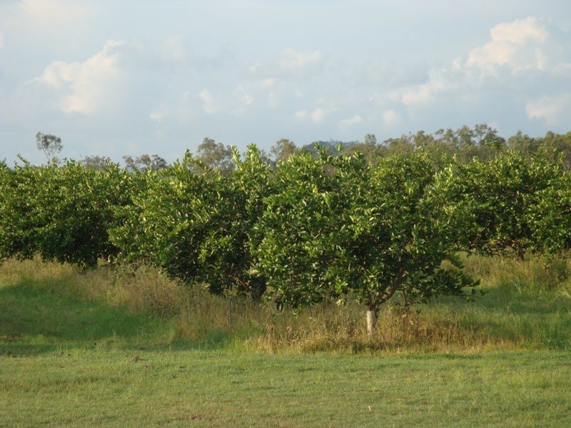 Mareeba QLD 4880