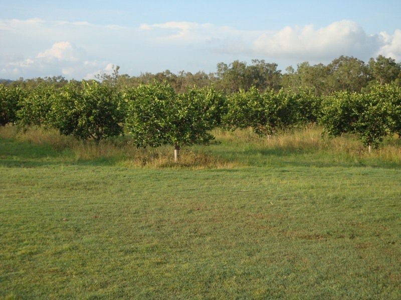 Mareeba QLD 4880