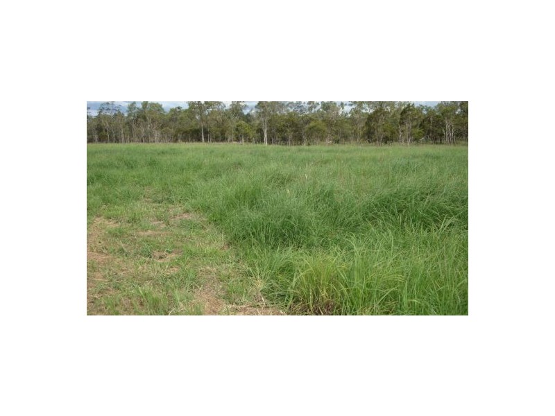 Mareeba QLD 4880