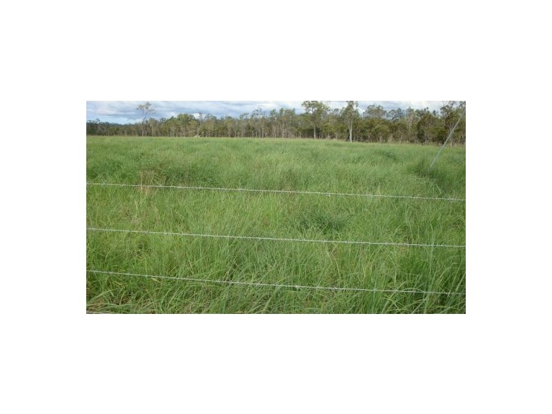 Mareeba QLD 4880