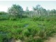 Mareeba QLD 4880
