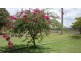 Dimbulah QLD 4872