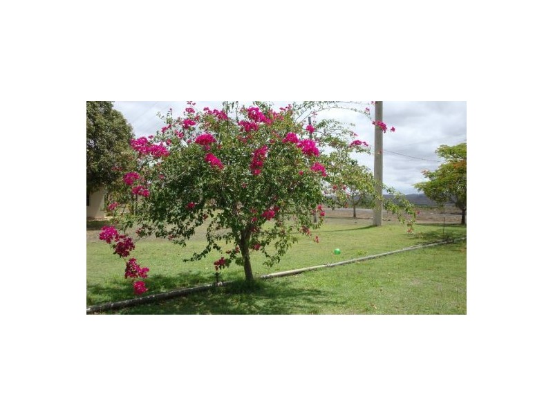 Dimbulah QLD 4872