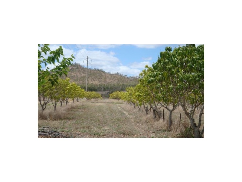 Dimbulah QLD 4872