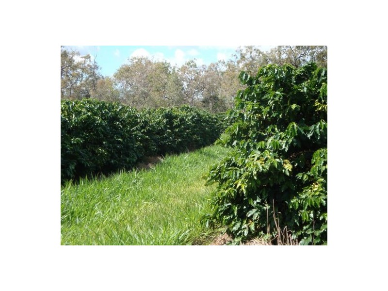 Mareeba QLD 4880