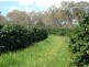 Mareeba QLD 4880