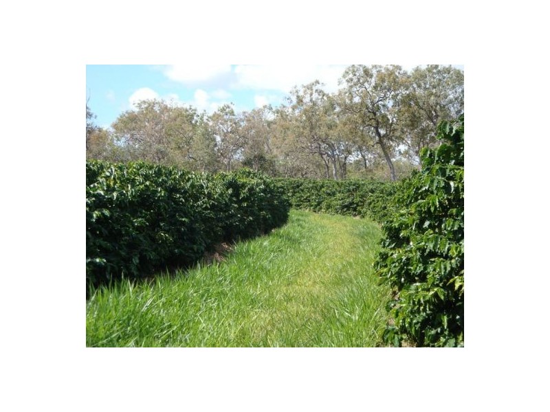 Mareeba QLD 4880