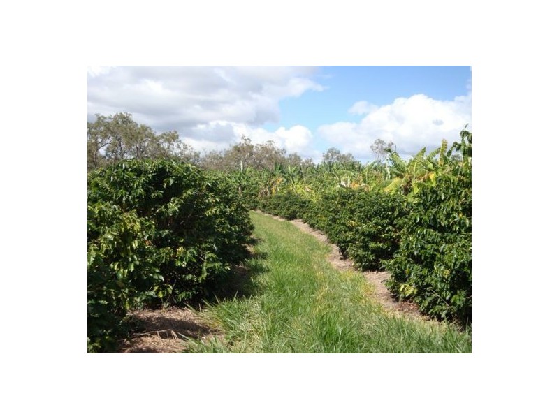Mareeba QLD 4880