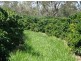 Mareeba QLD 4880