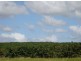 Mareeba QLD 4880