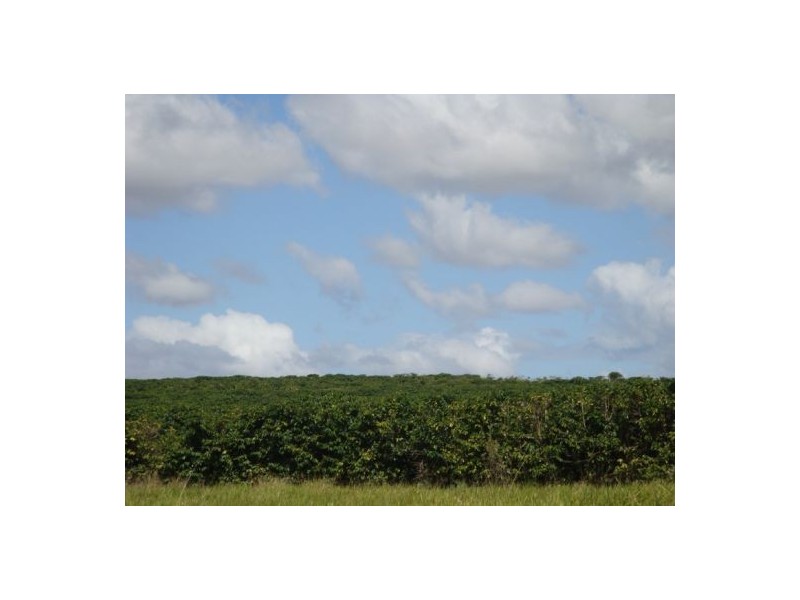 Mareeba QLD 4880