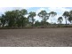 Mareeba QLD 4880