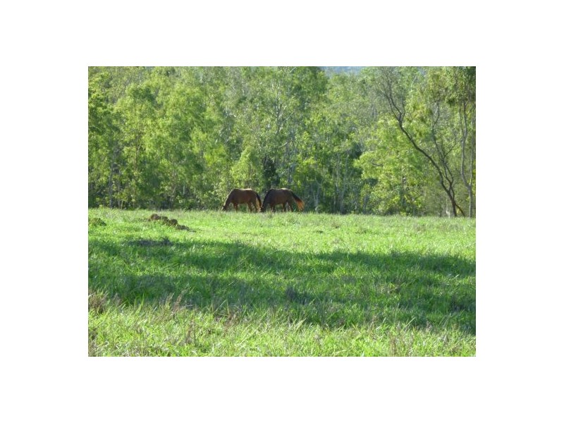 Biboohra QLD 4880