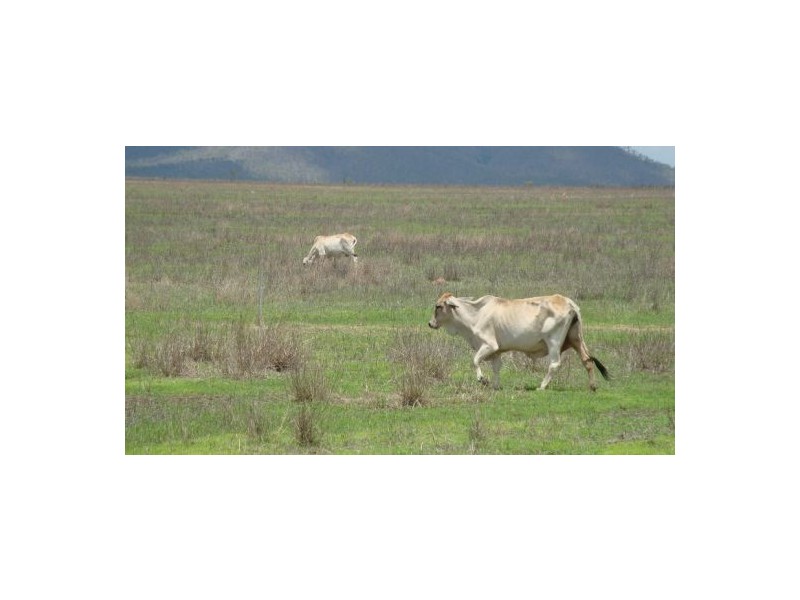 Dimbulah QLD 4872