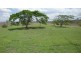 Dimbulah QLD 4872