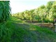 Mutchilba QLD 4872