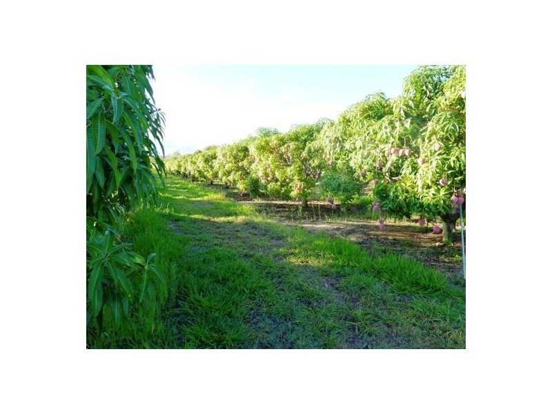 Mutchilba QLD 4872