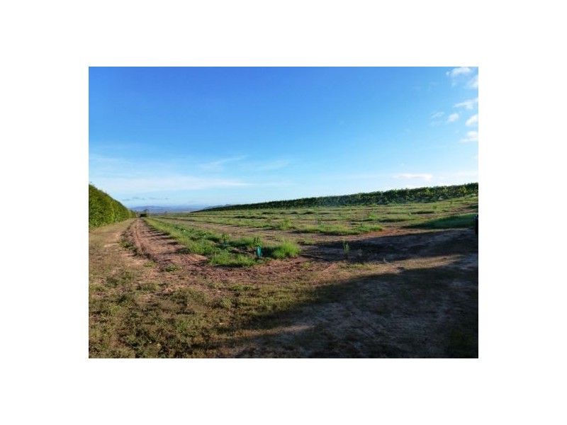 Mutchilba QLD 4872