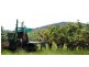 Mutchilba QLD 4872
