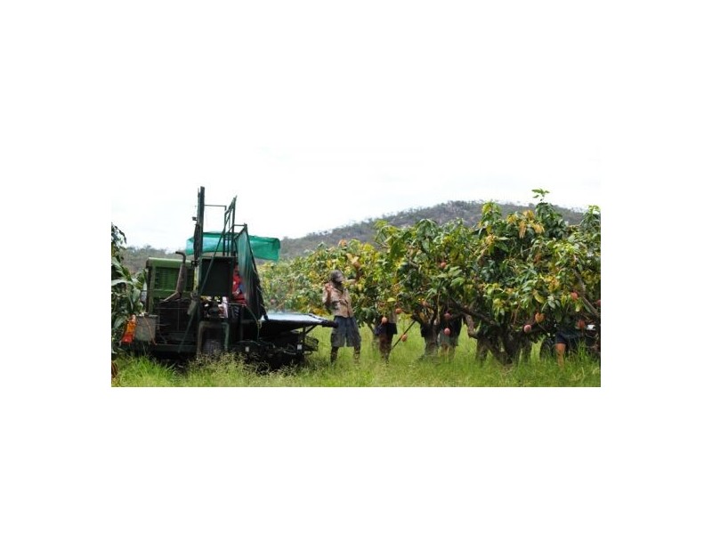 Mutchilba QLD 4872