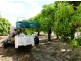 Mutchilba QLD 4872