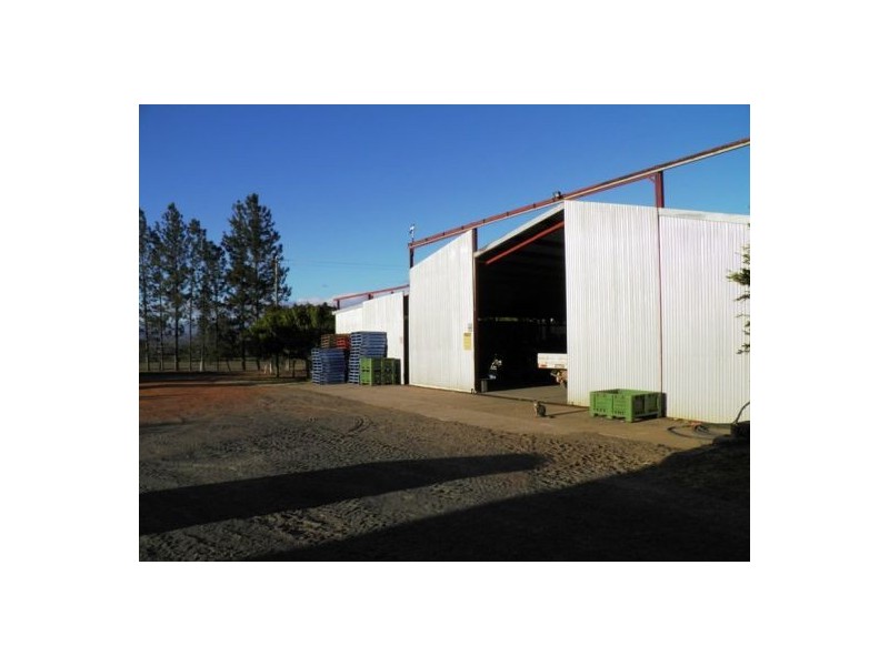 Mutchilba QLD 4872