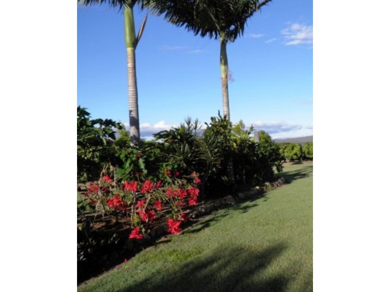 Mutchilba QLD 4872