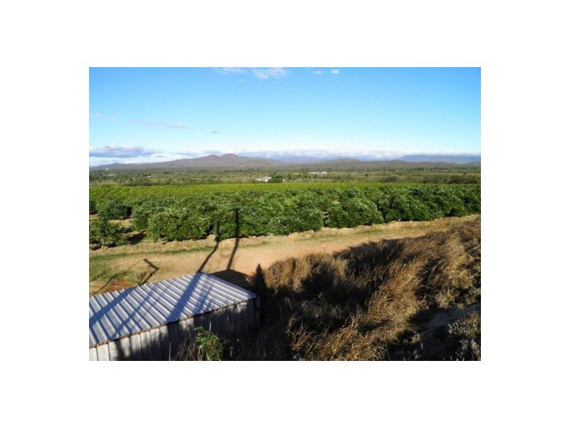 Mutchilba QLD 4872