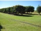 Arriga QLD 4880