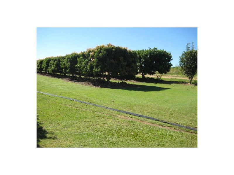 Arriga QLD 4880