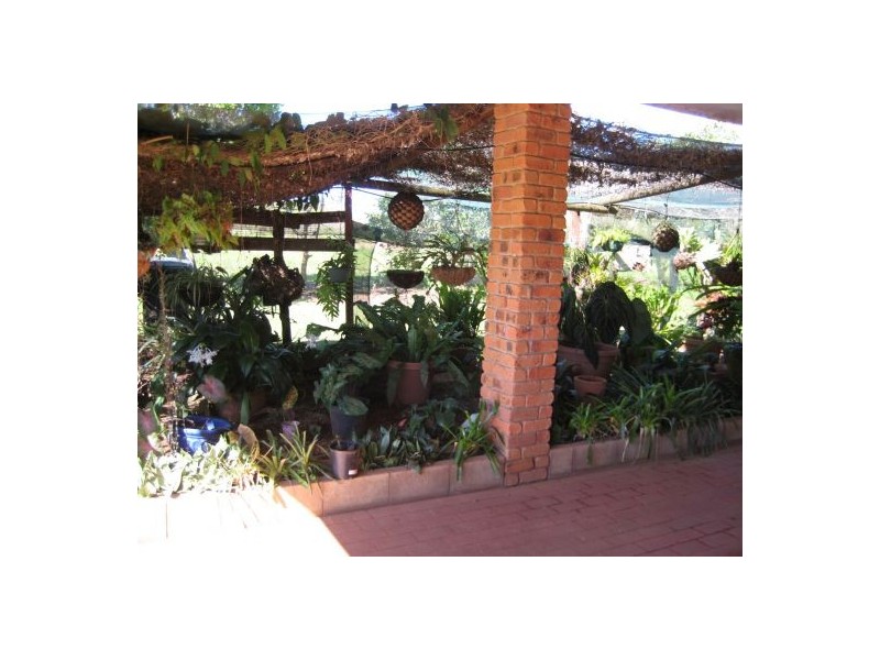 Arriga QLD 4880