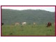Dimbulah QLD 4872