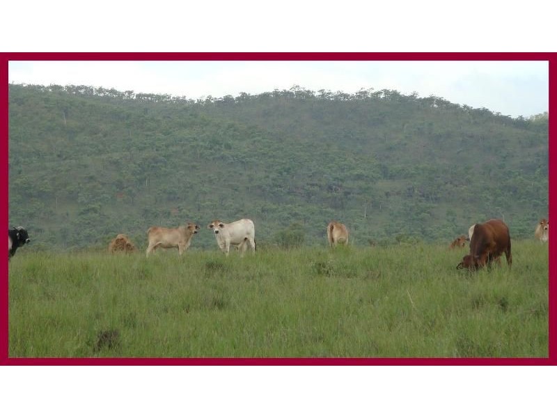 Dimbulah QLD 4872
