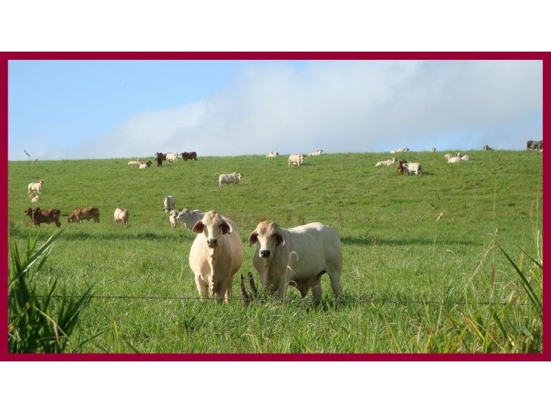 East Palmerston QLD 4860