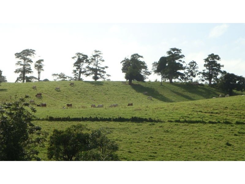 East Palmerston QLD 4860