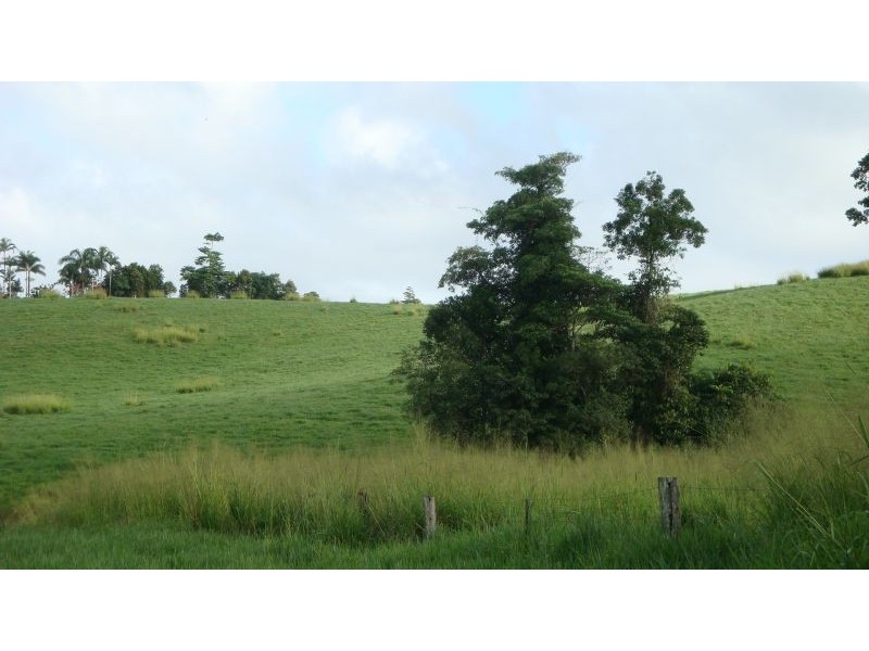 East Palmerston QLD 4860