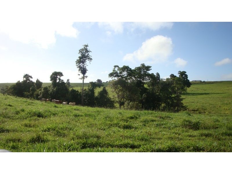 East Palmerston QLD 4860