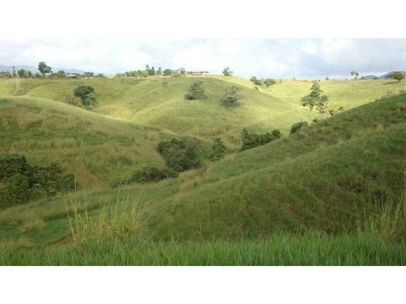 East Palmerston QLD 4860