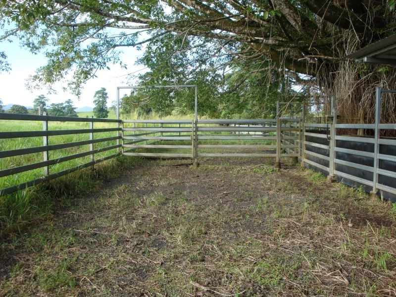 East Palmerston QLD 4860