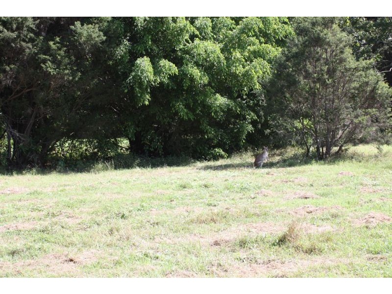 Mareeba QLD 4880