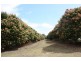 186 Tinaroo Creek Road, Mareeba QLD 4880