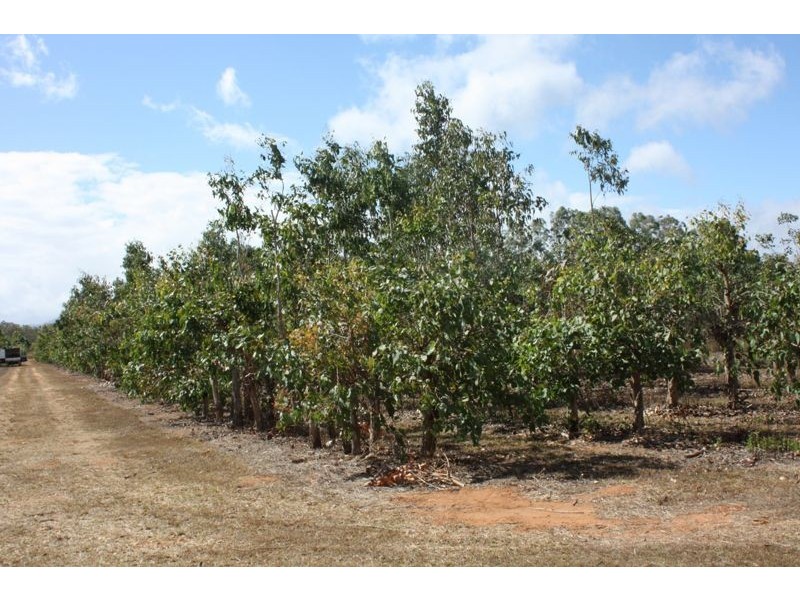 186 Tinaroo Creek Road, Mareeba QLD 4880