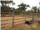 Dimbulah QLD 4872