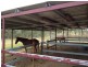 Dimbulah QLD 4872