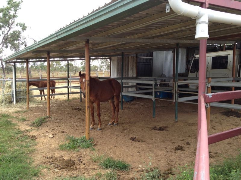 Dimbulah QLD 4872
