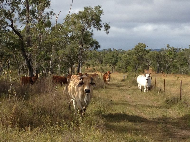 Dimbulah QLD 4872